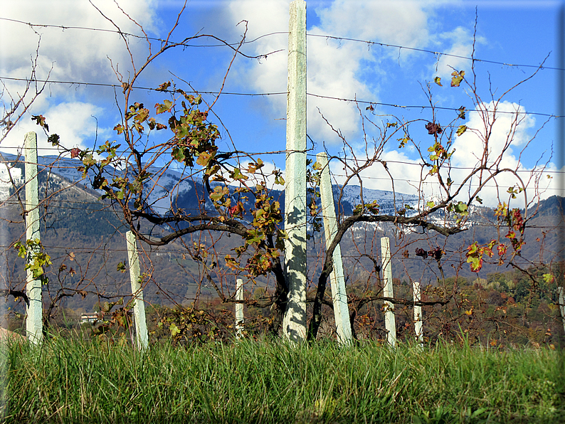 foto Colli Asolani in Autunno